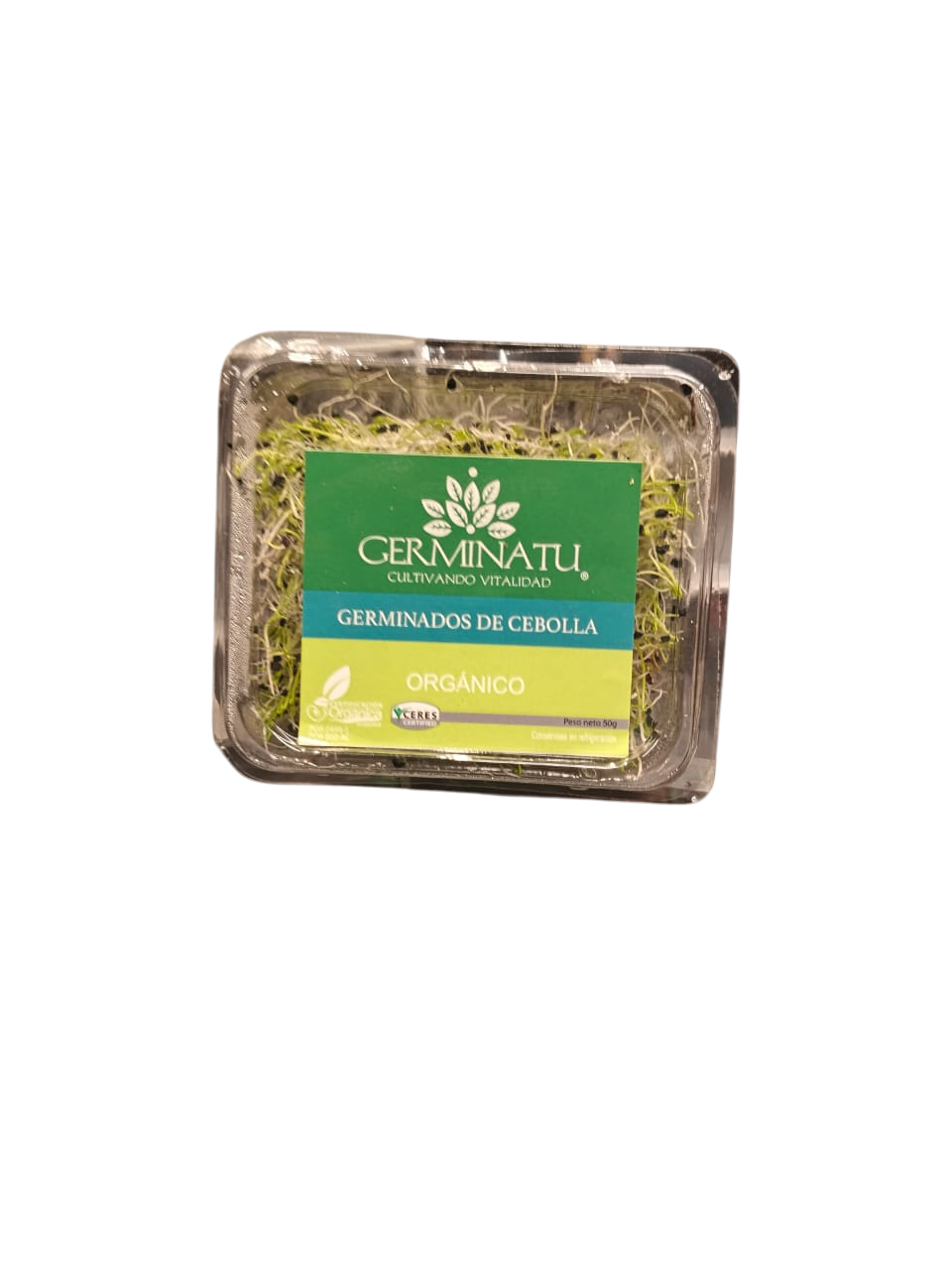 brotes de cebolla Organicos