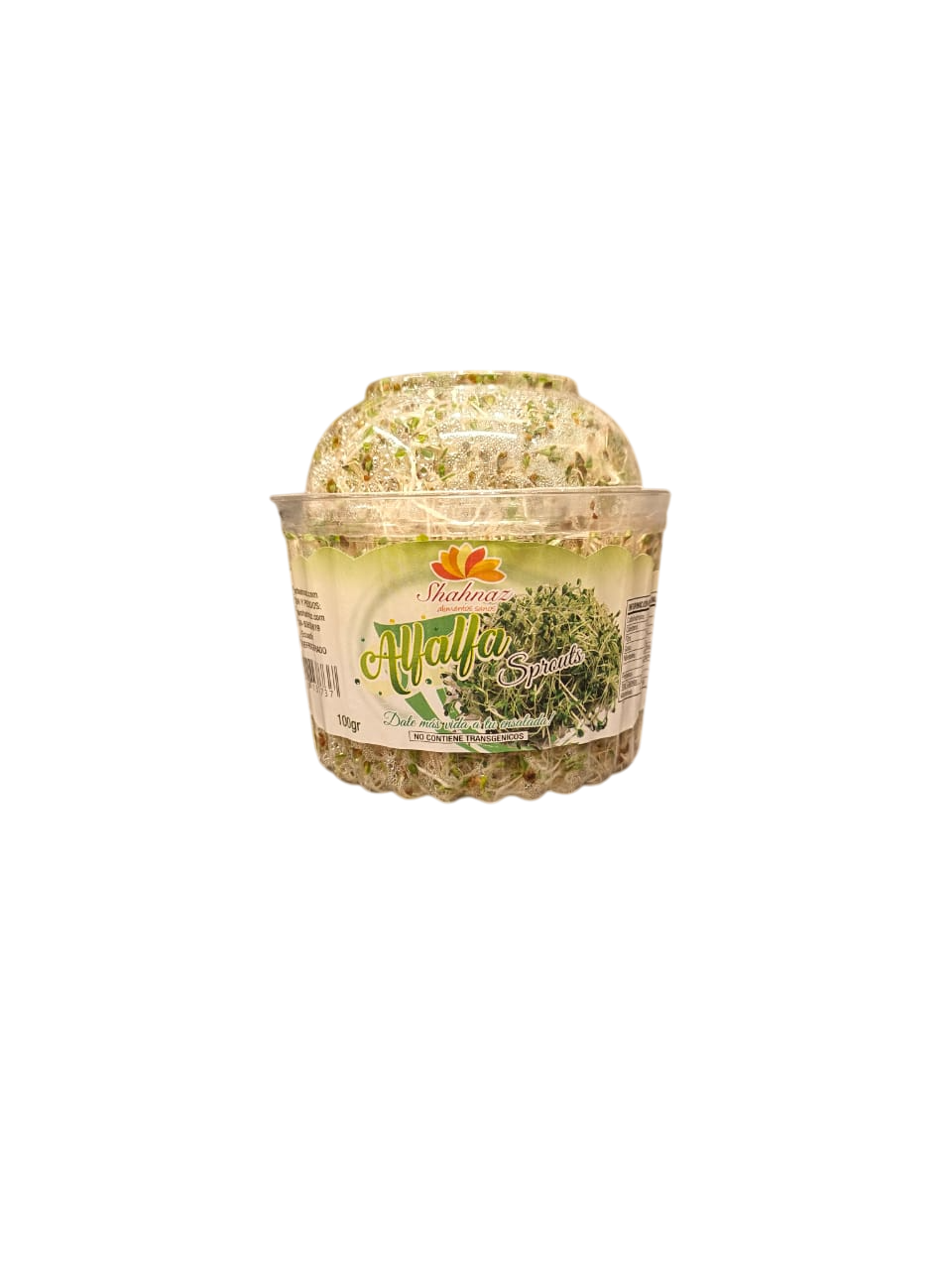 Brotes de alfalfa
