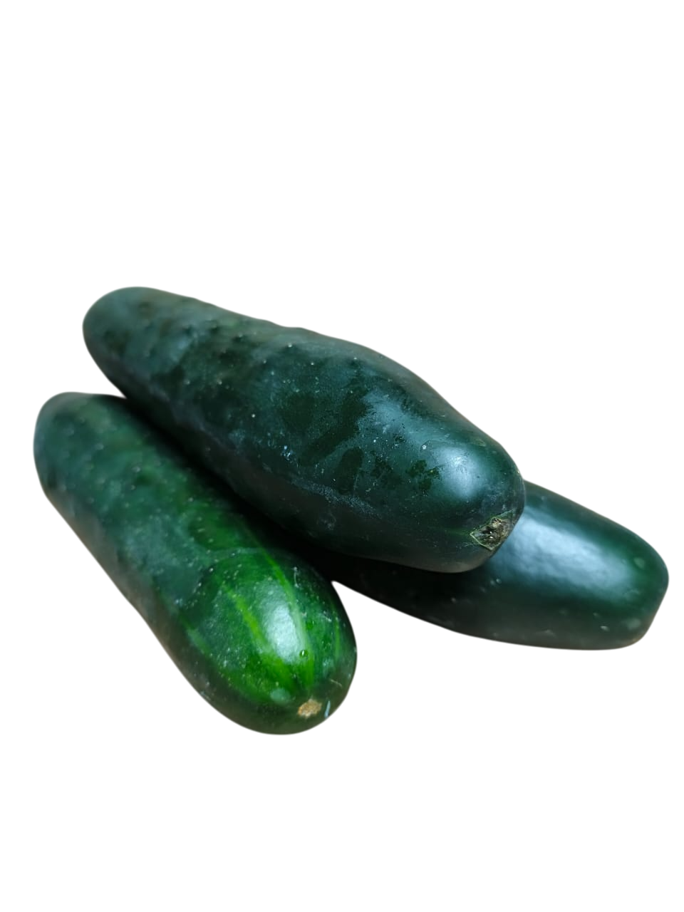 Pepino