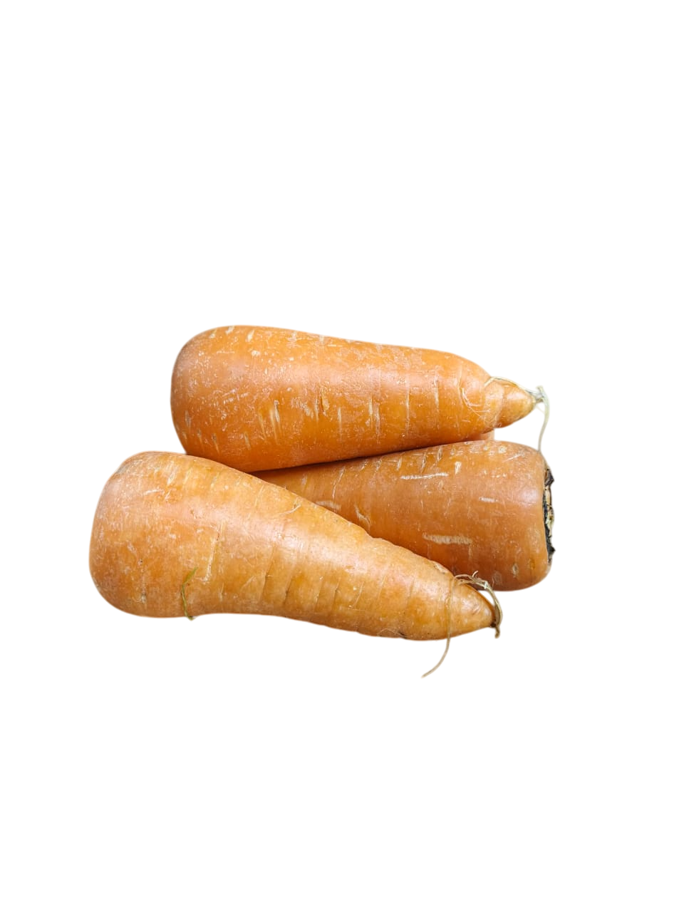 Zanahoria