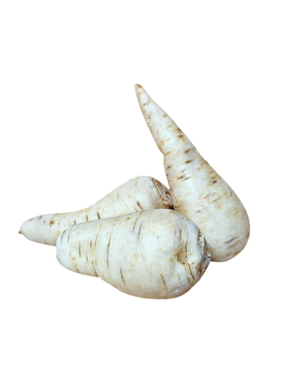 Zanahoria blanca o Carota