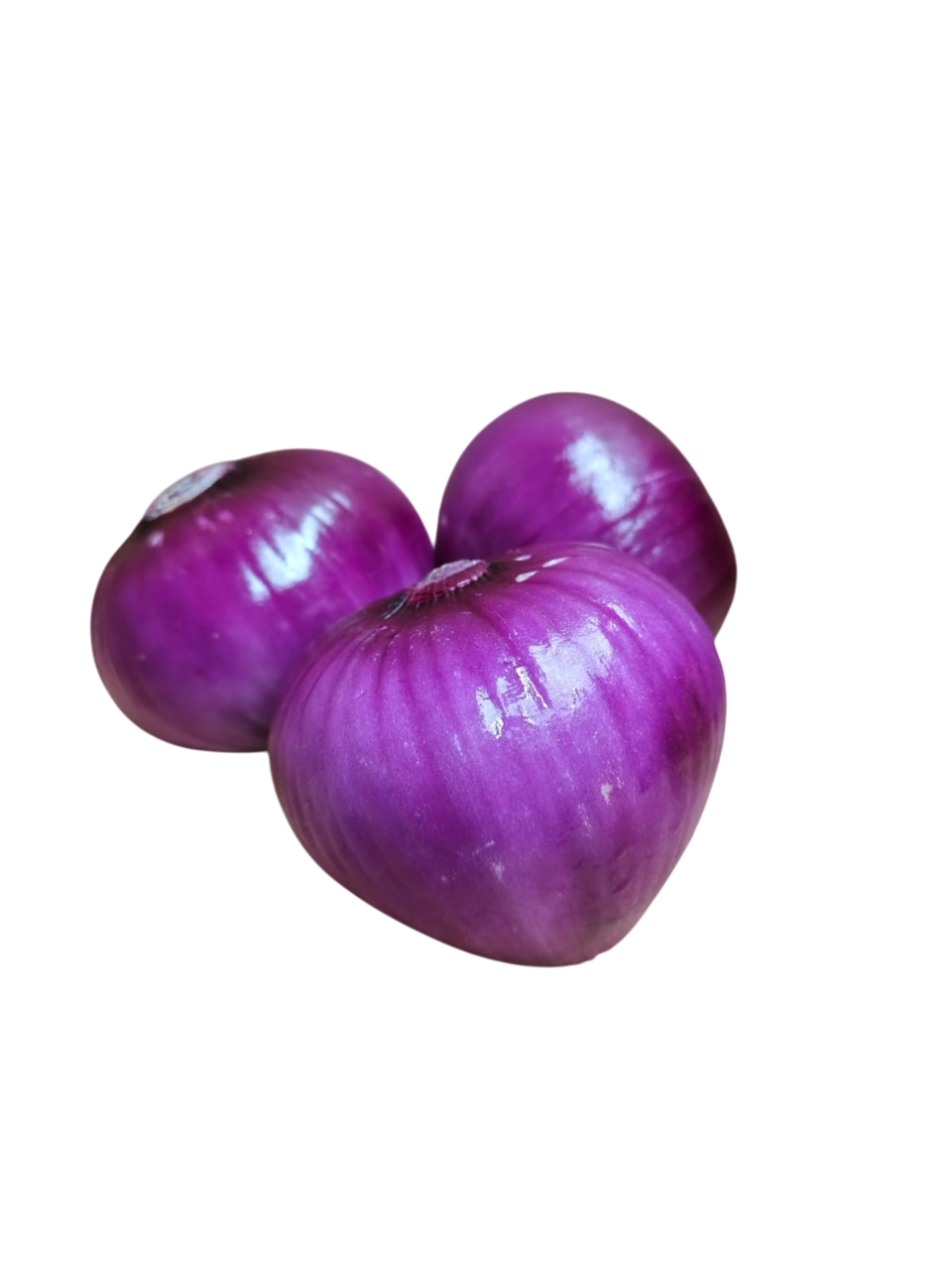 Cebolla paiteña premium seleccionada