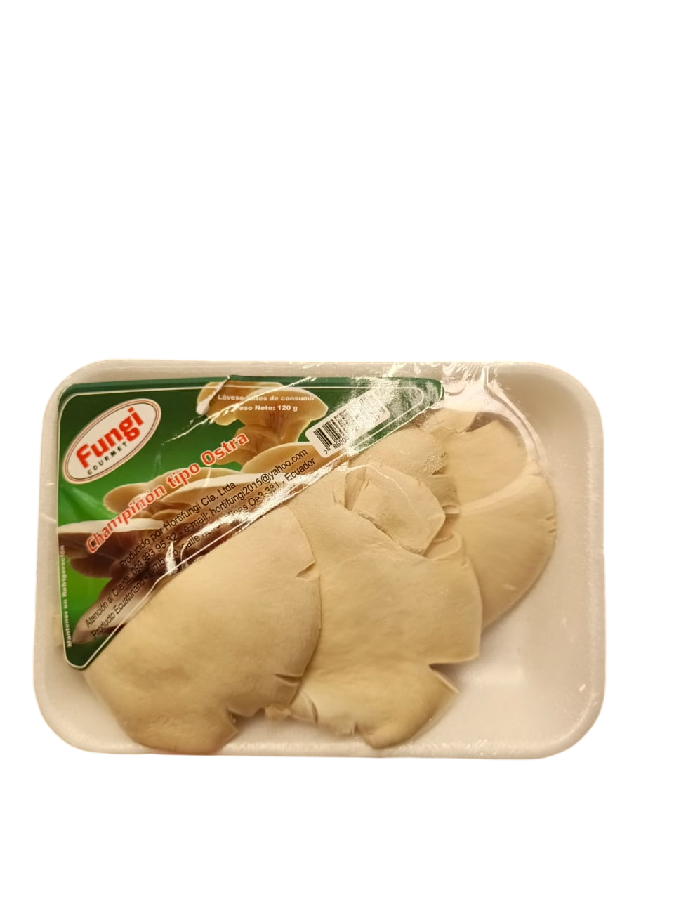champiñones tipo Ostras