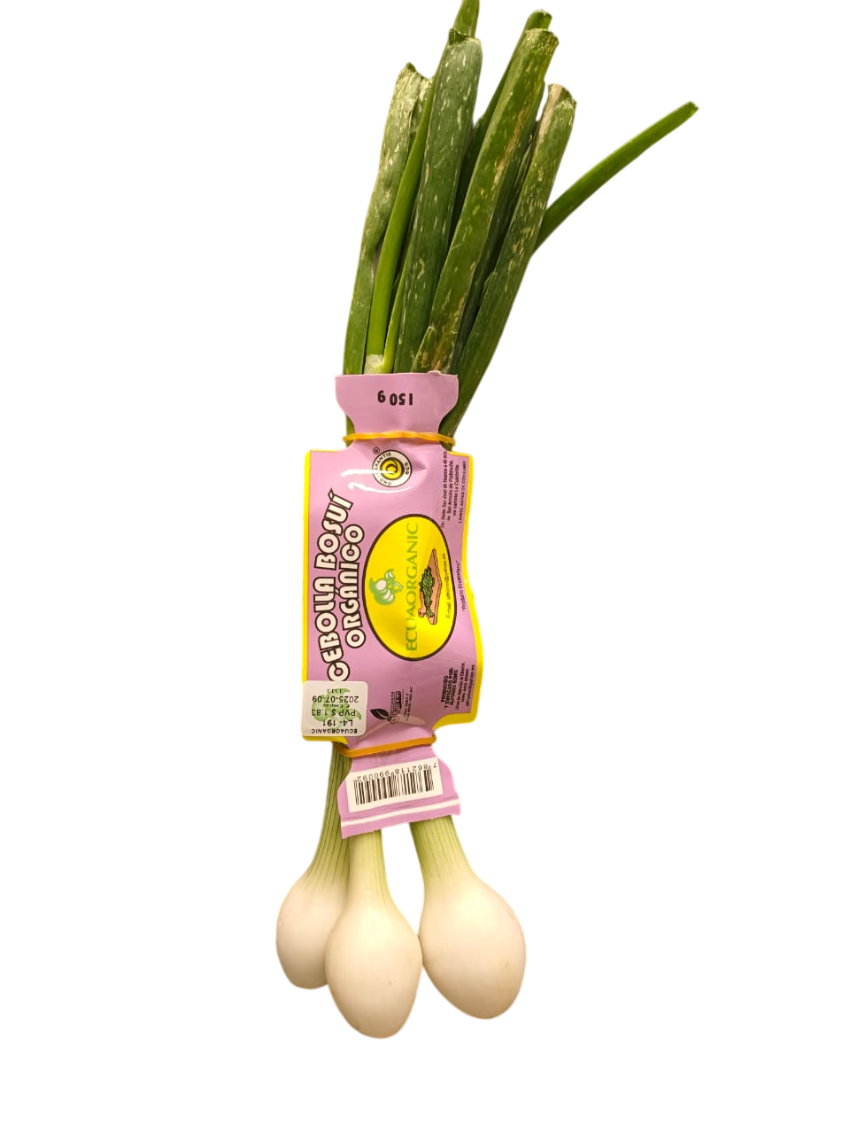 Cebolla Bosqui Organicos