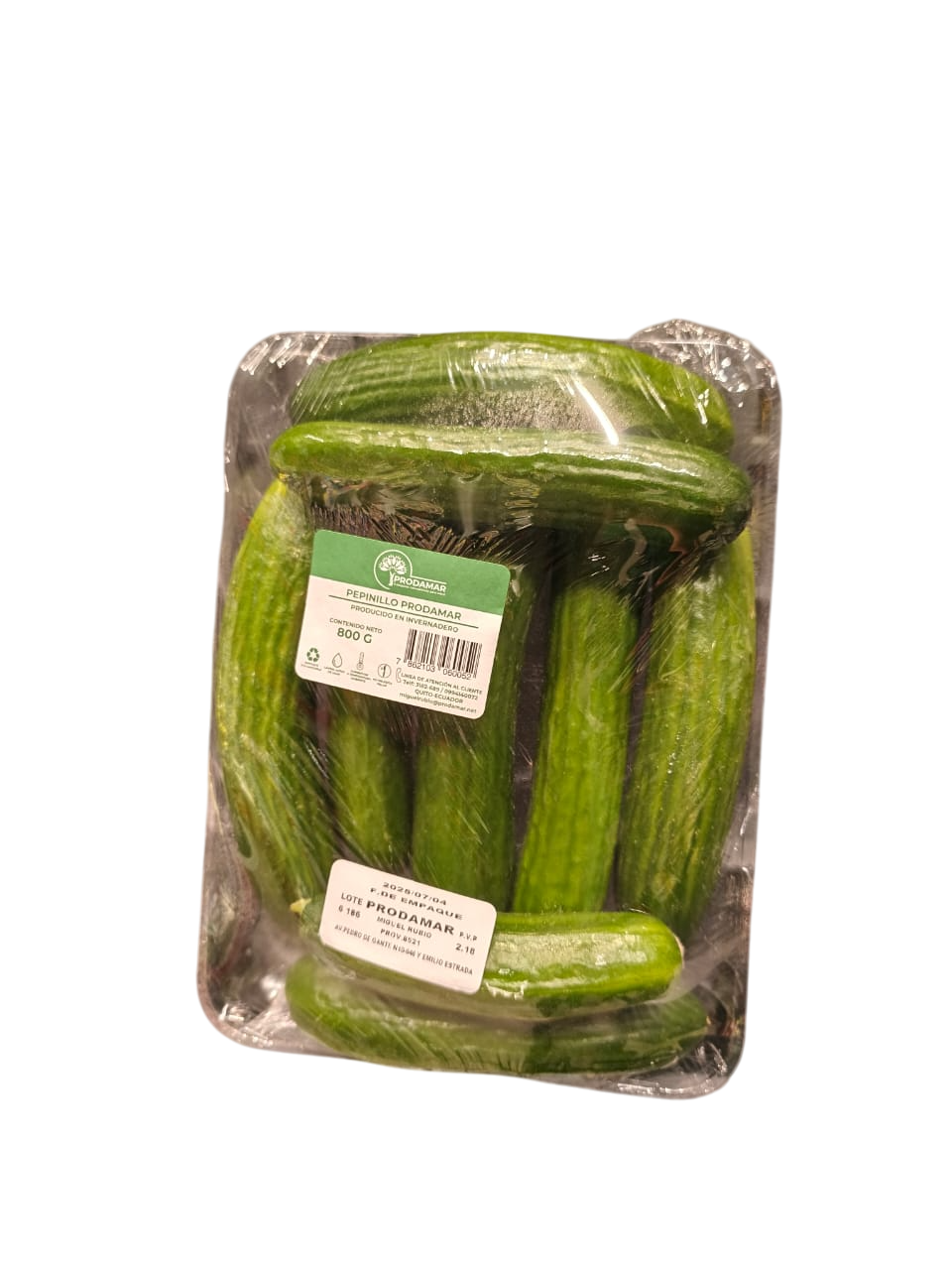 Pepinillo o pepino persa