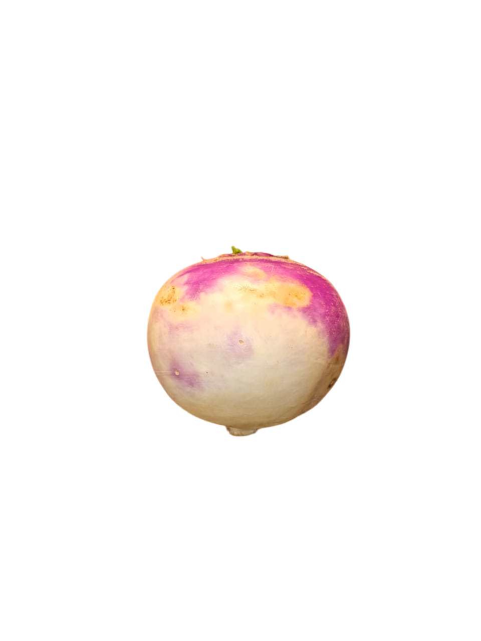 papanabo