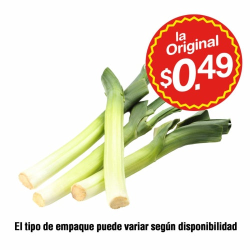 cebolla puerro