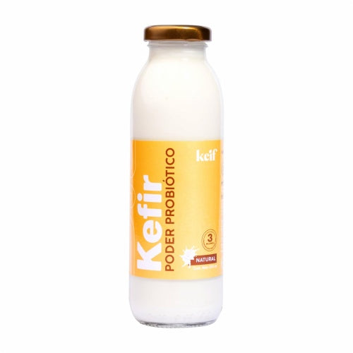 kefir probioticos 300ml