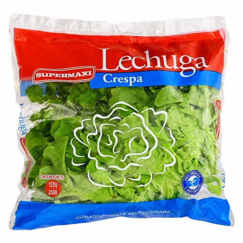 lechuga crespa