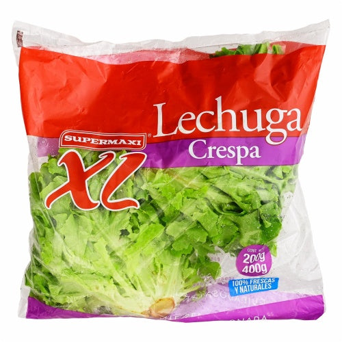 lechuga crespa XL