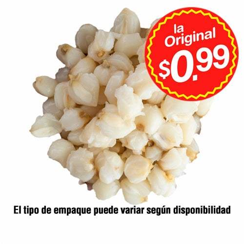 mote fresco eco