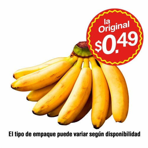 orito eco