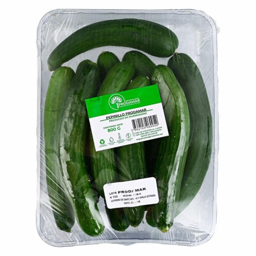 pepinillo prodomar