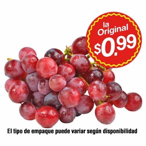 uva roja eco